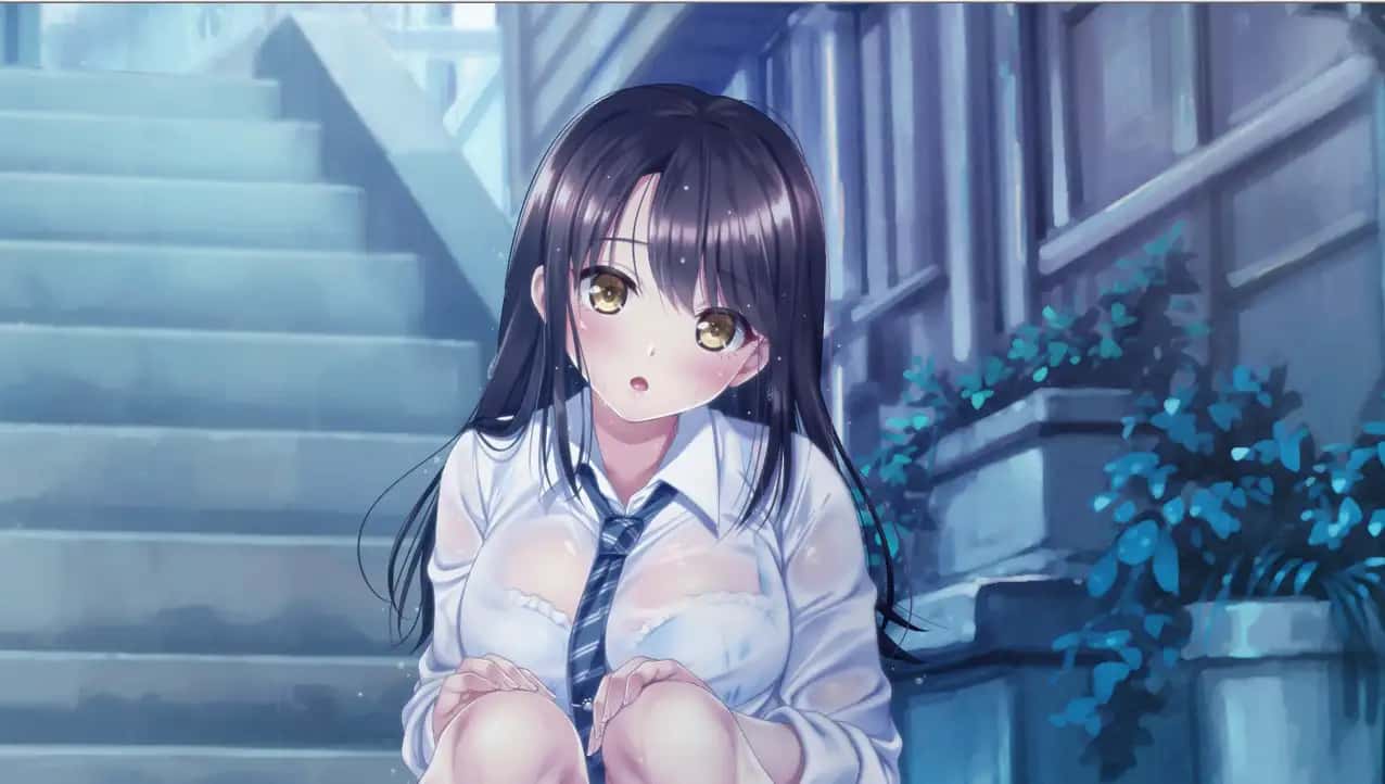 野猫少女的同居生活|Cat Girl Sweet Days全息投影