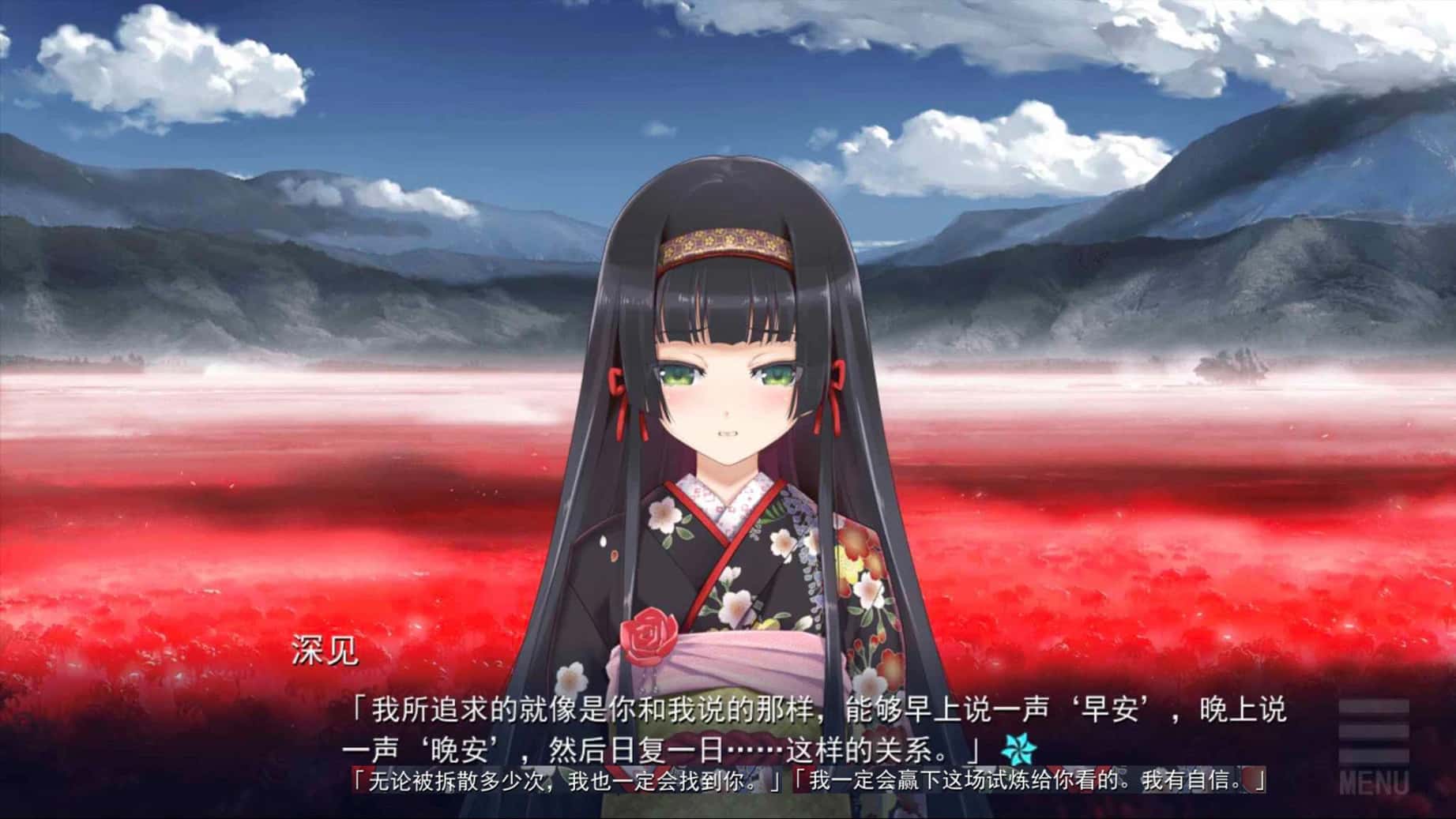 视觉数据5